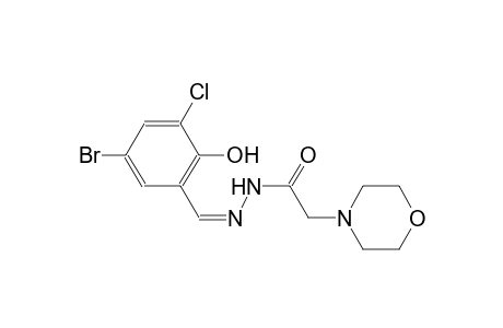 N'-[(Z)-(5-bromo-3-chloro-2-hydroxyphenyl)methylidene]-2-(4-morpholinyl)acetohydrazide