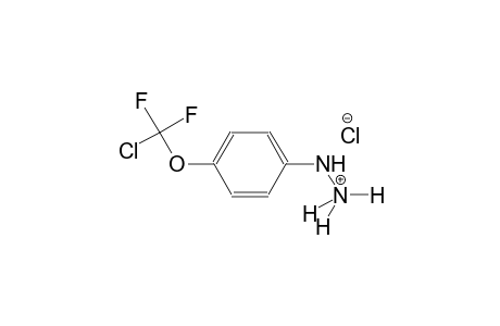 hydrazinium, 2-[4-(chlorodifluoromethoxy)phenyl]-, chloride