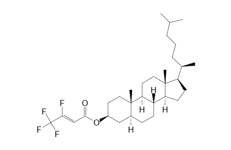 Cholestan-3-ol, 3,4,4,4-tetrafluoro-2-butenoate, (3.beta.,5.alpha.)-
