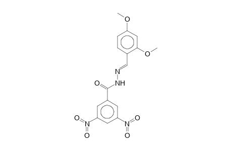 N'-[(E)-(2,4-Dimethoxyphenyl)methylidene]-3,5-dinitrobenzohydrazide