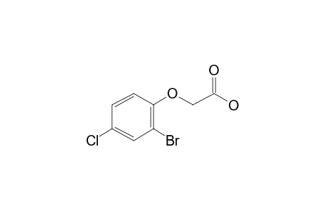 (2-Bromo-4-chlorophenoxy)acetic acid