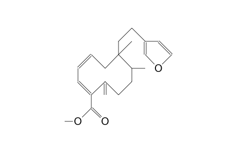 Conyzic acid, methyl ester
