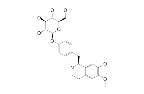(S)-[1-(13)C]-4'-BETA-D-GLUCOSYLCOCLAURINE