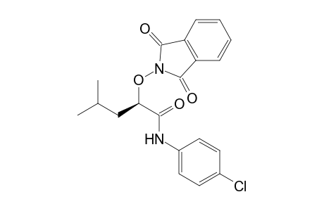 D-p-Chlorophenyl 2-phthalimidoxy-4-methylpentanoamide