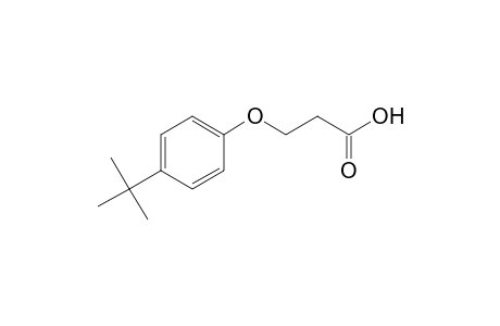 Propanoic acid, 3-[4-(1,1-dimethylethyl)phenoxy]-