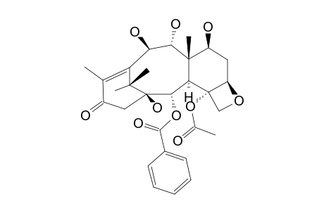 TAXUSPINANANE-C