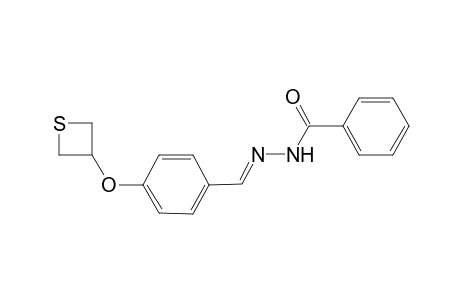 Benzoic acid, [4-(thietan-3-yloxy)benzylidene]hydrazide