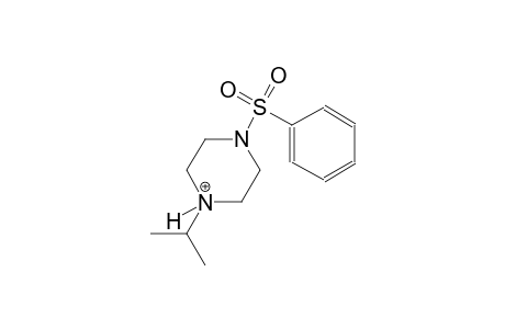 1-isopropyl-4-(phenylsulfonyl)piperazin-1-ium