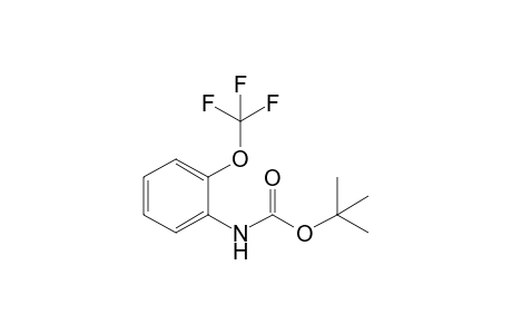 tert-Butyl N-[2-(Trifluoromethoxy)phenyl]carbamate