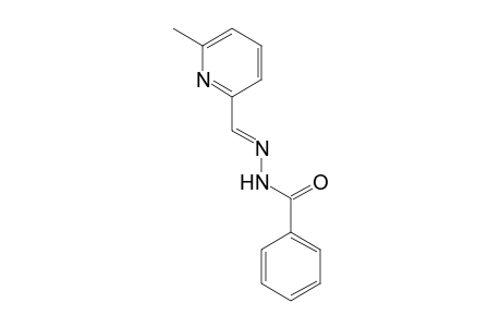 Benzoic acid, [(6-methyl-2-pyridinyl)methylene]hydrazide