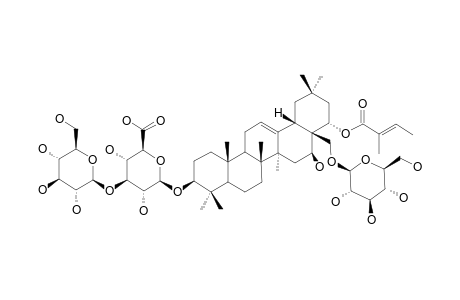ALTERNOSIDE-XIV;22-O-TIGLOYL-3-O-BETA-D-GLUCOPYRANOSYL-(1->3)-BETA-D-GLUCURONOPYRANOSYL-28-O-BETA-D-GLUCOPYRANOSIDE