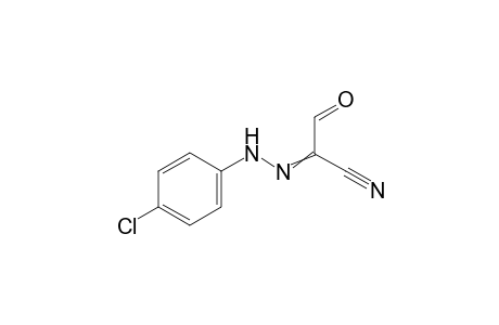 3-Oxo-2-(4-chloro-phenylhydrazono)propionitrile