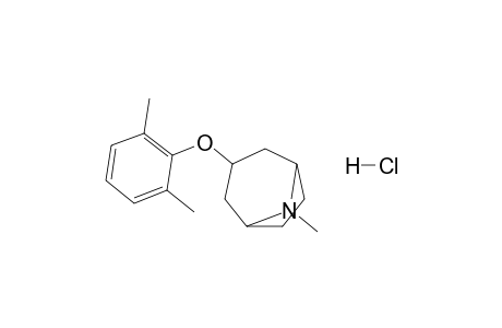 endo-3-(2,6-Dimethylphenoxy)-8-methyl-8-azabicyclo[3.2.1]octane hydrochloride