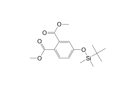 4-(tert-Butyldimethylsilyloxy)phthalic dimethyl ester