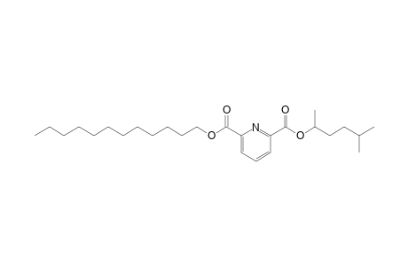 2,6-Pyridinedicarboxylic acid, 5-methylhex-2-yl dodecyl ester
