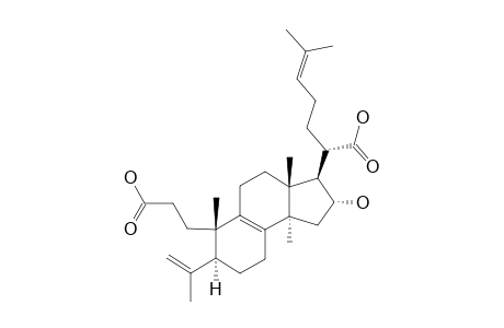 PORICOIC-ACID-G;16-ALPHA-HYDROXY-3,4-SECO-LANOSTA-4(28),8,24-TRIENE-3,21-DIOIC-ACID