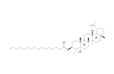 LUP-20(29)-ENE-3-PALMITATE