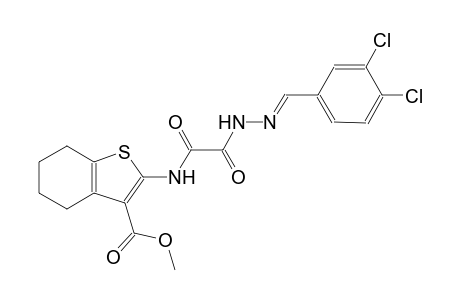 methyl 2-{[[(2E)-2-(3,4-dichlorobenzylidene)hydrazino](oxo)acetyl]amino}-4,5,6,7-tetrahydro-1-benzothiophene-3-carboxylate