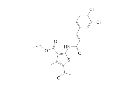 ethyl 5-acetyl-2-{[(2E)-3-(3,4-dichlorophenyl)-2-propenoyl]amino}-4-methyl-3-thiophenecarboxylate