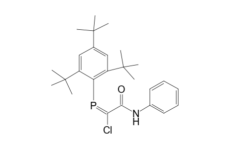 (E)-2-Chloro-1-anilino-3-(2,4,6-tri-butylphenyl)-3-phospha-2-propen-1-one