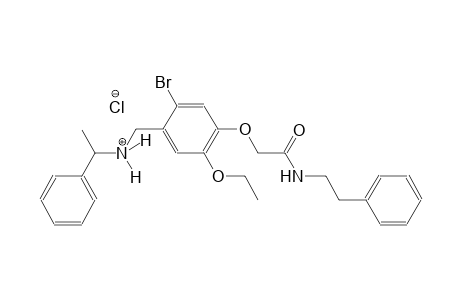 N-(2-bromo-5-ethoxy-4-{2-oxo-2-[(2-phenylethyl)amino]ethoxy}benzyl)-1-phenylethanaminium chloride