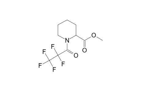 Methyl 1-(2,2,3,3,3-pentafluoropropanoyl)-2-piperidinecarboxylate