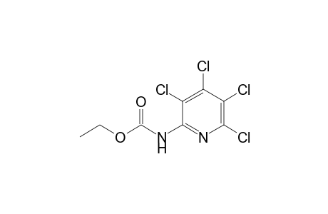 Carbamic acid, (3,4,5,6-tetrachloro-2-pyridinyl)-, ethyl ester