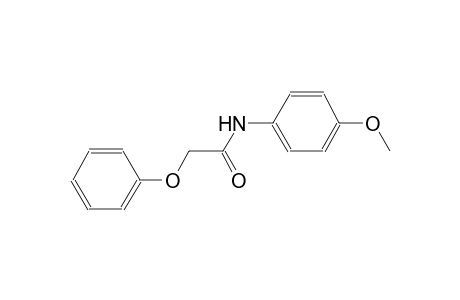 N-(4-methoxyphenyl)-2-phenoxy-acetamide