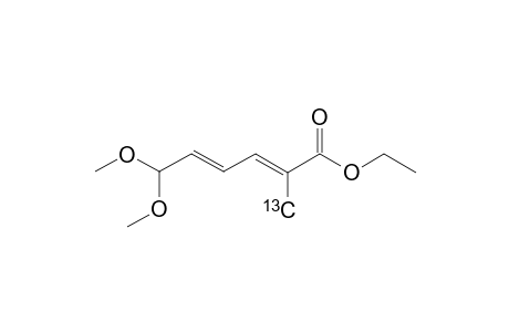 (7-(C-13))-ETHYL-6,6-DIMETHOXY-2-METHYLHEXA-2,4-DIENOATE