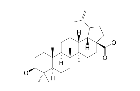 BETULINIC-ACID;3-BETA-HYDROXY-20(29)-LUPEN-28-OIC-ACID