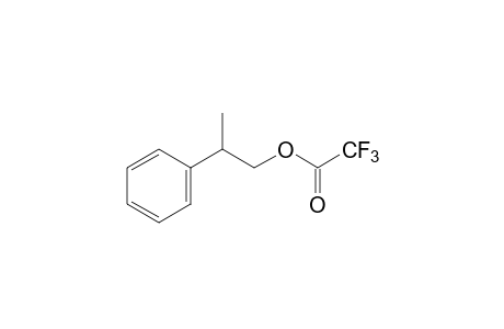 trifluoroacetic acid, beta-methylphenethyl ester