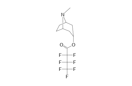 Tropine, heptafluorobutyrate