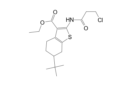 ethyl 6-tert-butyl-2-[(3-chloropropanoyl)amino]-4,5,6,7-tetrahydro-1-benzothiophene-3-carboxylate