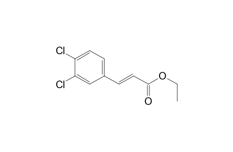 (E)-3-(3,4-dichlorophenyl)-2-propenoic acid ethyl ester