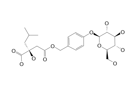 GYMNOSIDE_II;4-(4-BETA-D-GLUCOPYRANOSYLOXYBENZYL)-(2-R)-2-ISOBUTYLMALATE