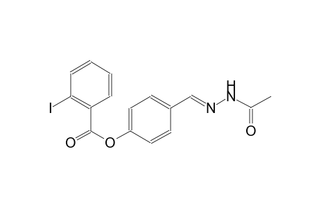 4-[(E)-(2-acetylhydrazono)methyl]phenyl 2-iodobenzoate