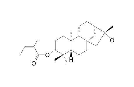 ENT-3-BC-ANGELOYLOXY-16-beta-HYDROXYKAURANE