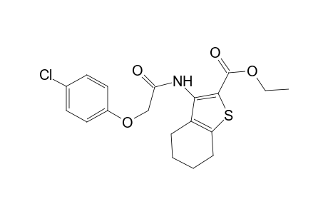 3-[[2-(4-chlorophenoxy)-1-oxoethyl]amino]-4,5,6,7-tetrahydro-1-benzothiophene-2-carboxylic acid ethyl ester