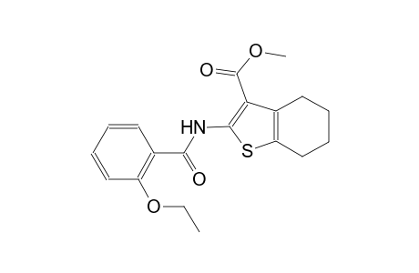 methyl 2-[(2-ethoxybenzoyl)amino]-4,5,6,7-tetrahydro-1-benzothiophene-3-carboxylate