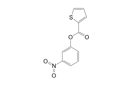 META-NITROPHENYL-2-THIENOATE