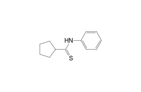 Cyclopentanecarbothioamide, N-phenyl-