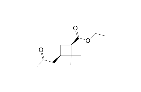 (1R,3R)-2,2-dimethyl-3-(2-oxopropyl)-1-cyclobutanecarboxylic acid ethyl ester