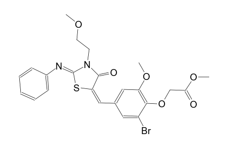methyl (2-bromo-6-methoxy-4-{(E)-[(2Z)-3-(2-methoxyethyl)-4-oxo-2-(phenylimino)-1,3-thiazolidin-5-ylidene]methyl}phenoxy)acetate