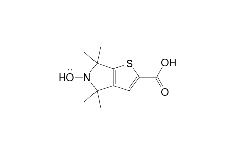 2-Carboxy-4,4,6,6-tetramethyl-4,6-dihydro-5H-thieno[2,3-c]pyrrol-5-yloxyl radical
