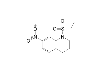 7-Nitro-1-(propylsulfonyl)-1,2,3,4-tetrahydroquinoline
