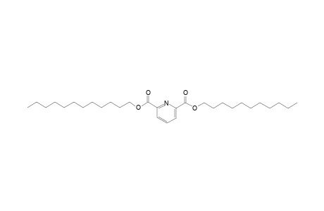 2,6-Pyridinedicarboxylic acid, dodecyl undecyl ester