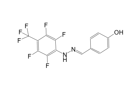 4-hydroxybenzaldehyde [2,3,5,6-tetrafluoro-4-(trifluoromethyl)phenyl]hydrazone