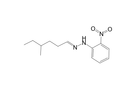 Hexanal, 4-methyl-, (2-nitrophenyl)hydrazone