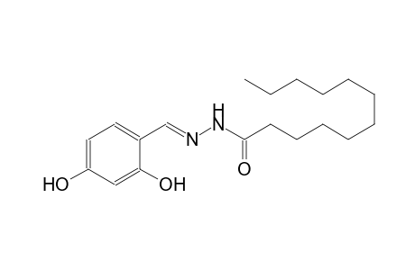 N'-[(E)-(2,4-dihydroxyphenyl)methylidene]dodecanohydrazide