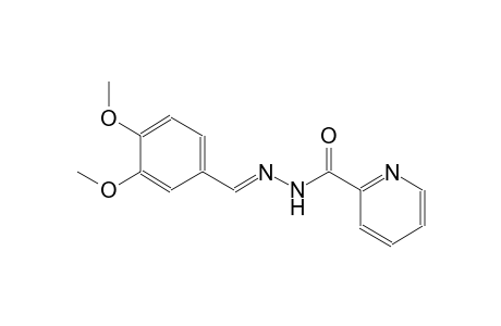 2-pyridinecarboxylic acid, 2-[(E)-(3,4-dimethoxyphenyl)methylidene]hydrazide